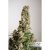 Auto Orange Bud 3Uds Auto Dutch