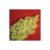Jack La Mota X3 Fem Medica