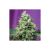 Sweet Skunk Autom. X1 Auto Royal
