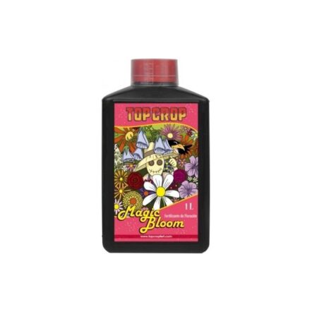 Top Bloom