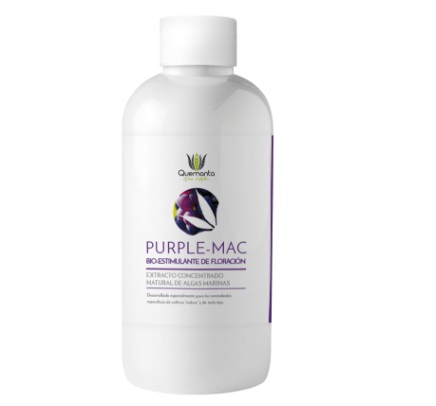 PURPLE-MAC quemanta